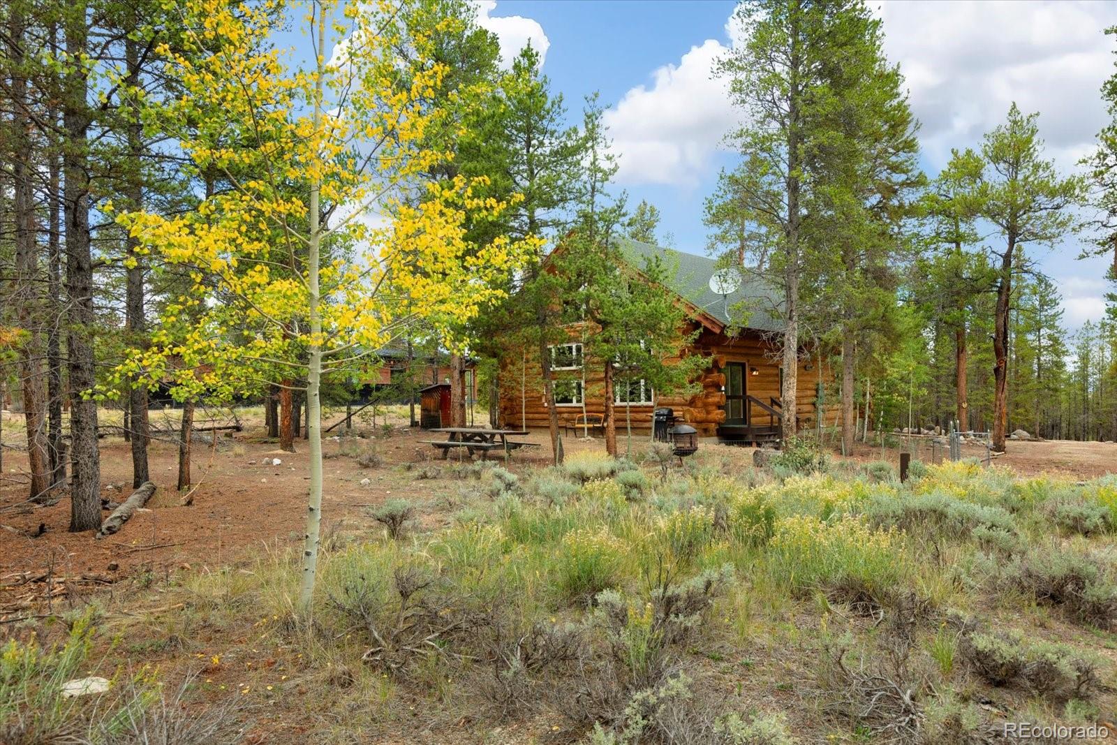 MLS Image #9 for 682  spruce drive,leadville, Colorado