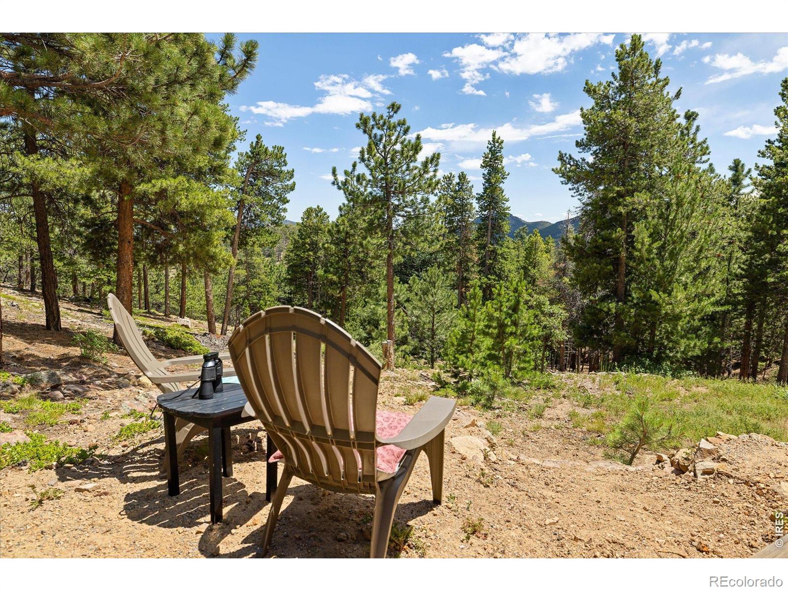 MLS Image #19 for 11506  coal creek heights drive,golden, Colorado