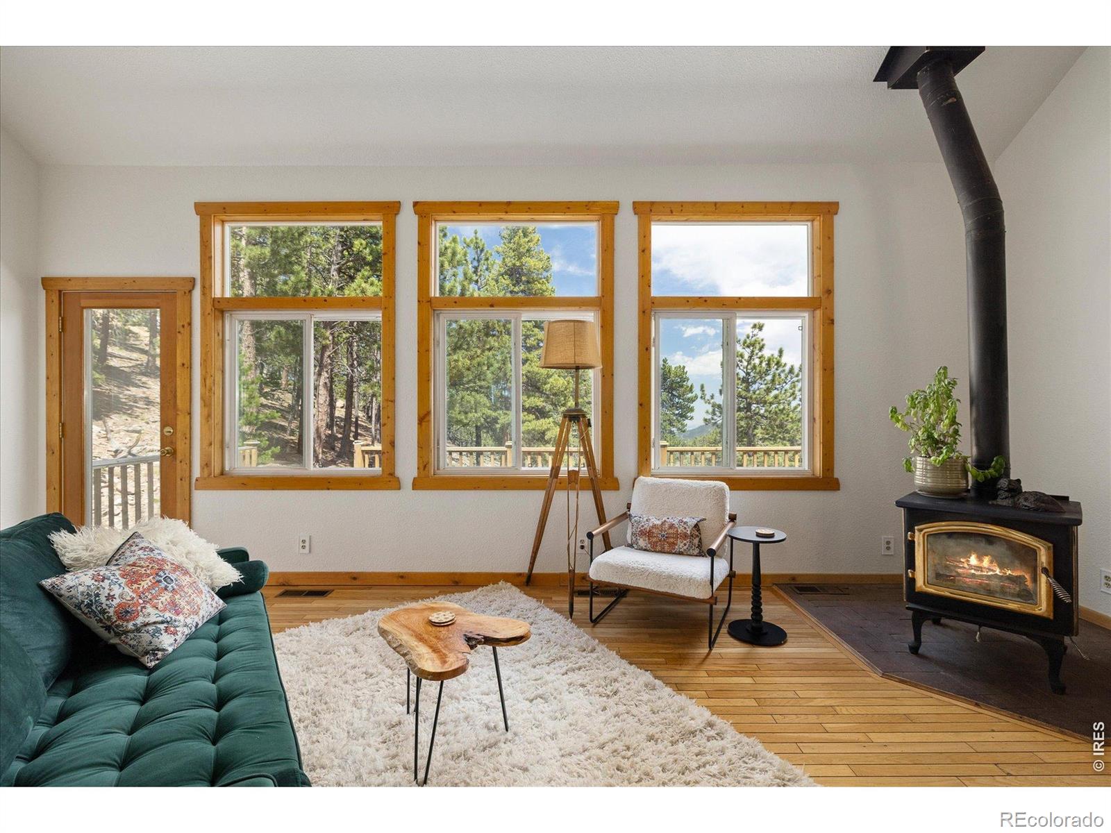 MLS Image #4 for 11506  coal creek heights drive,golden, Colorado