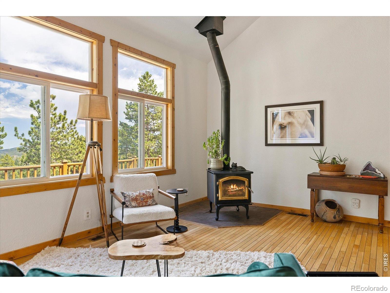 MLS Image #5 for 11506  coal creek heights drive,golden, Colorado