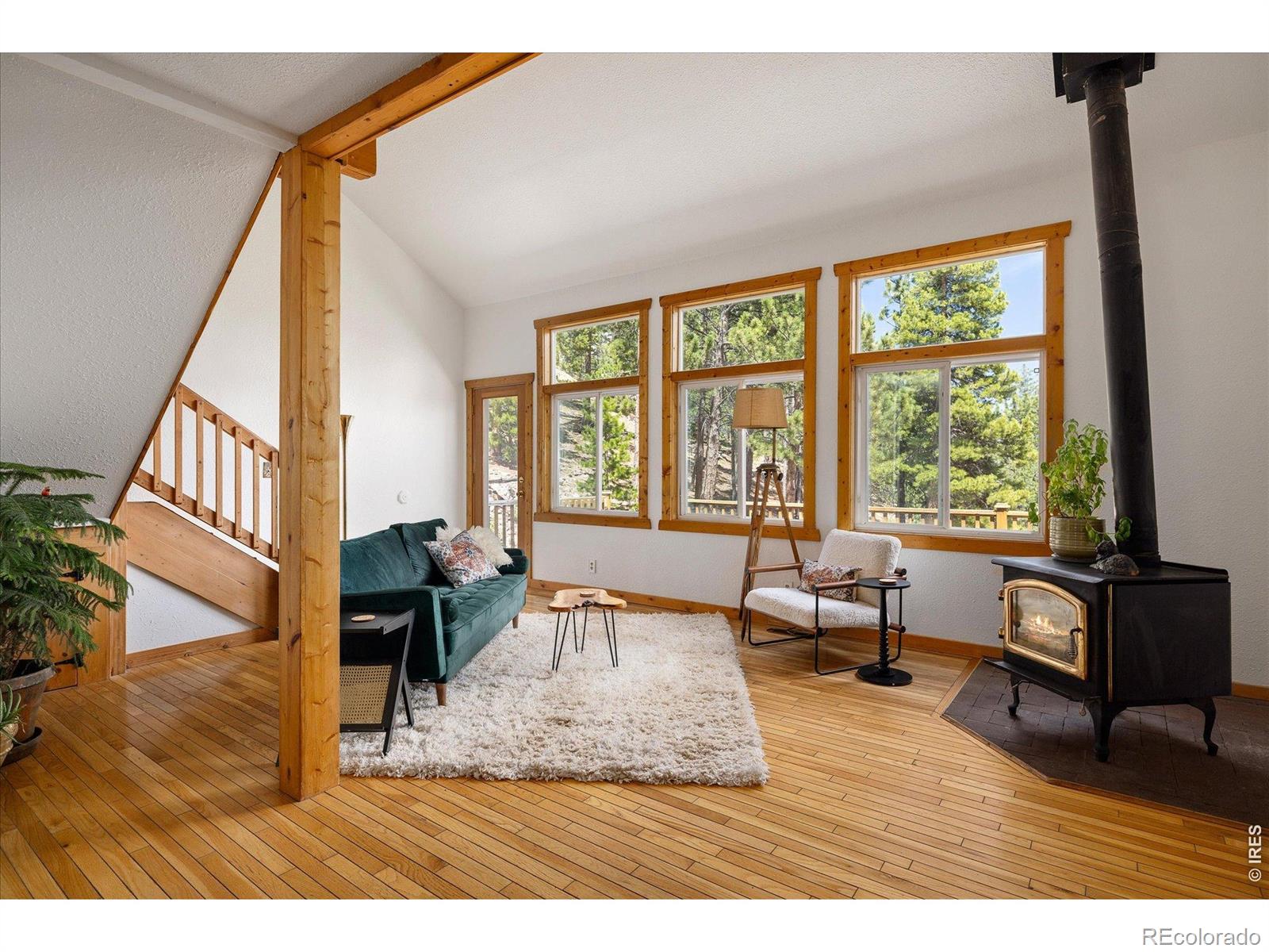 MLS Image #7 for 11506  coal creek heights drive,golden, Colorado