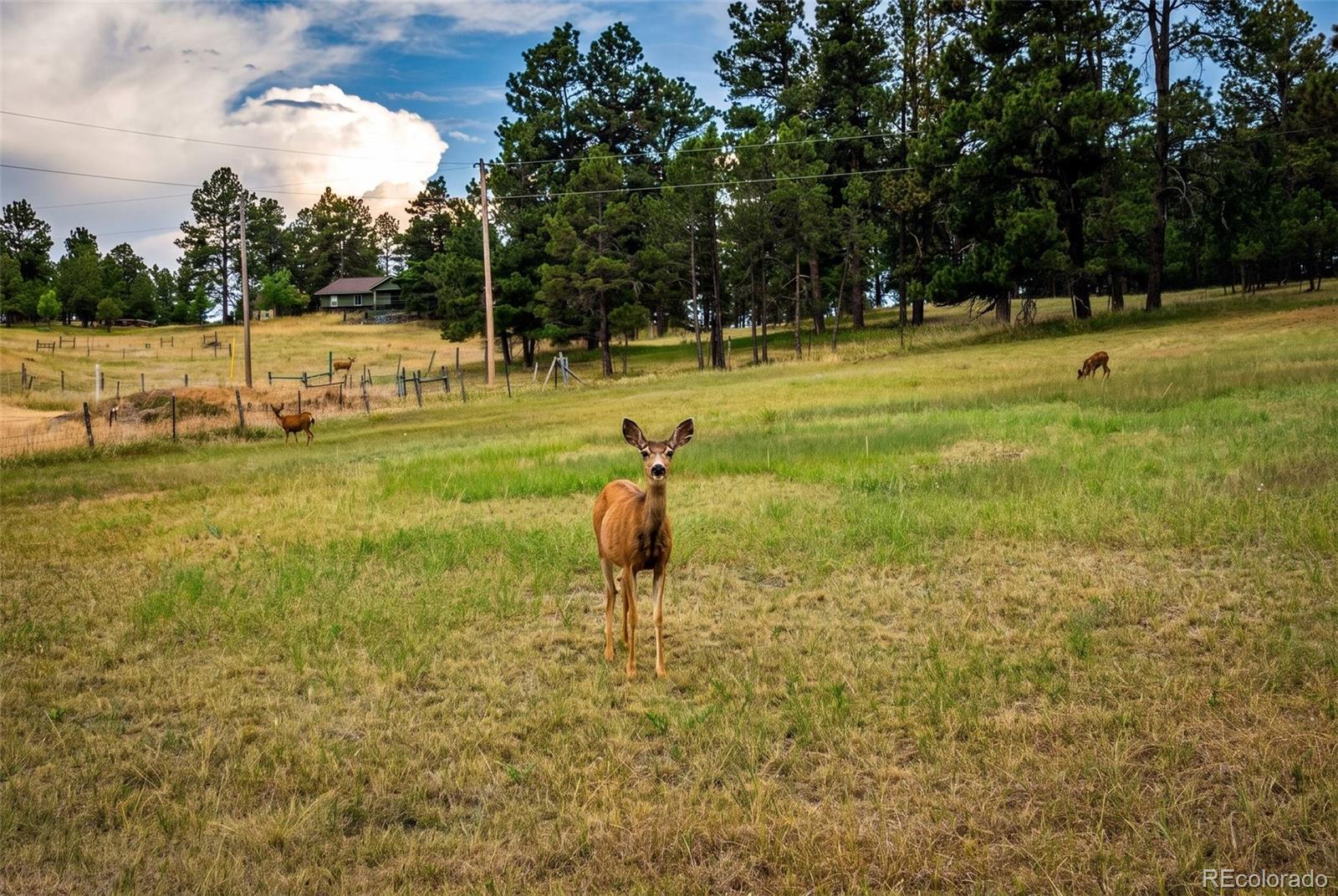 MLS Image #39 for 7573  pine crest drive,kiowa, Colorado