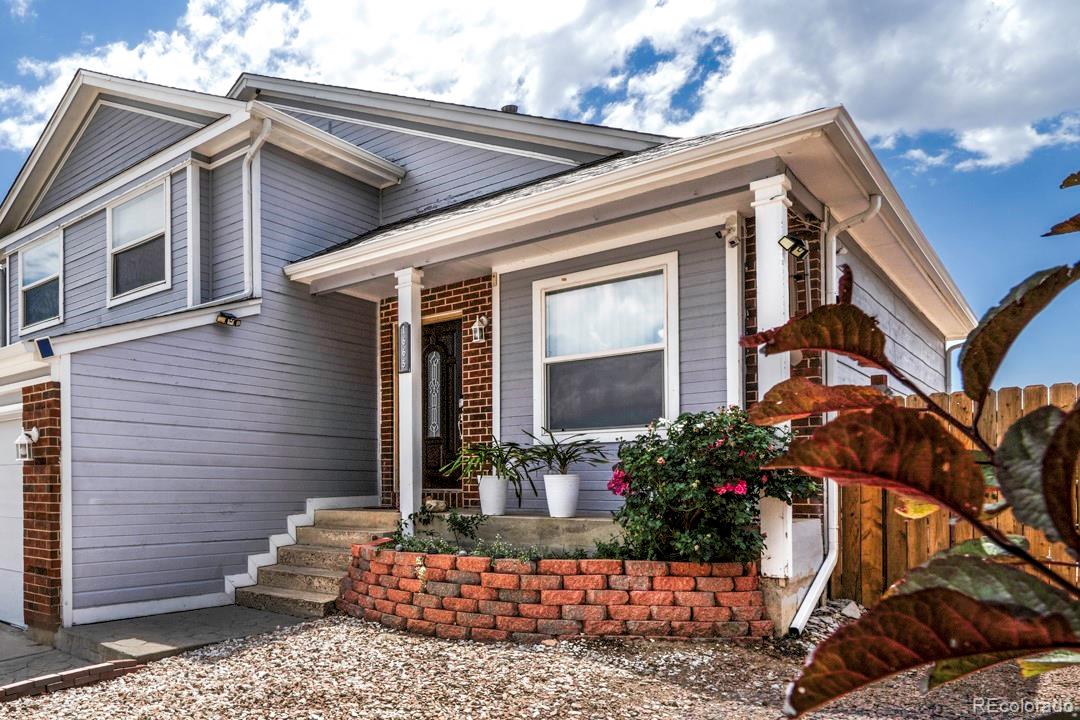 MLS Image #2 for 1665  boxtree court,colorado springs, Colorado