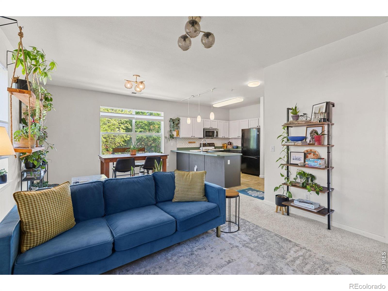 MLS Image #5 for 2630  iris avenue,boulder, Colorado