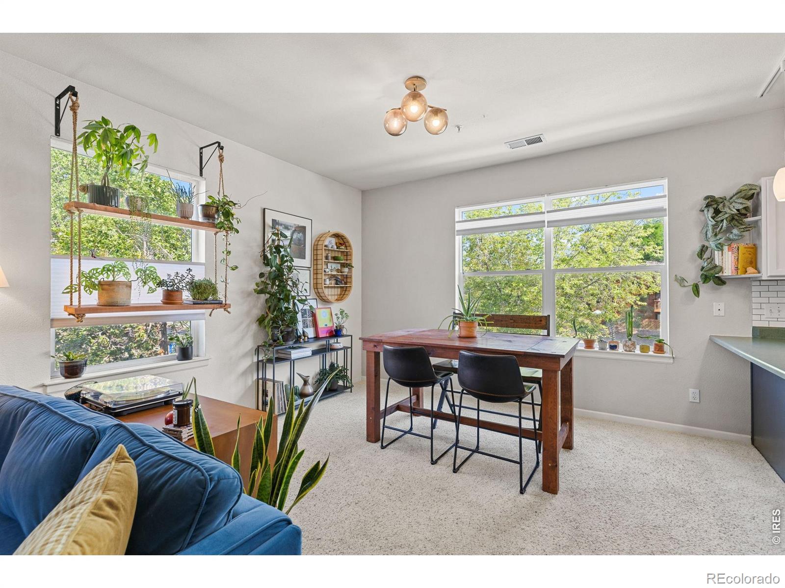 MLS Image #6 for 2630  iris avenue,boulder, Colorado