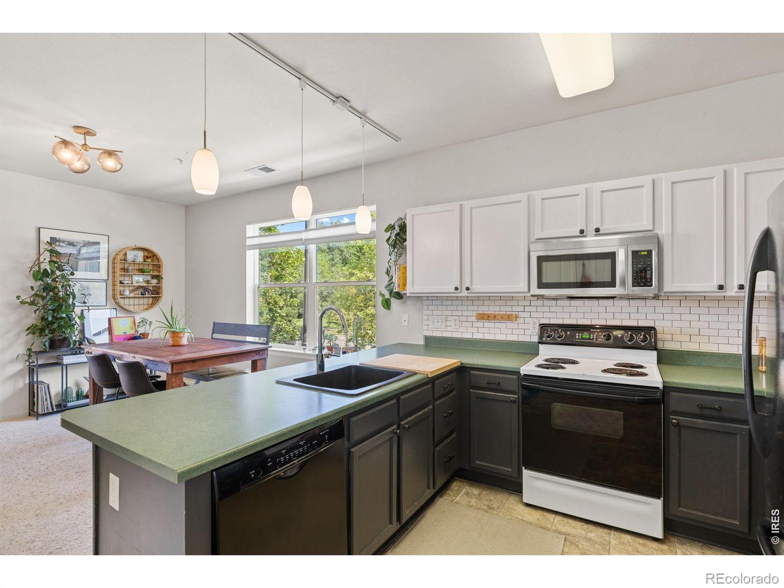 MLS Image #8 for 2630  iris avenue,boulder, Colorado