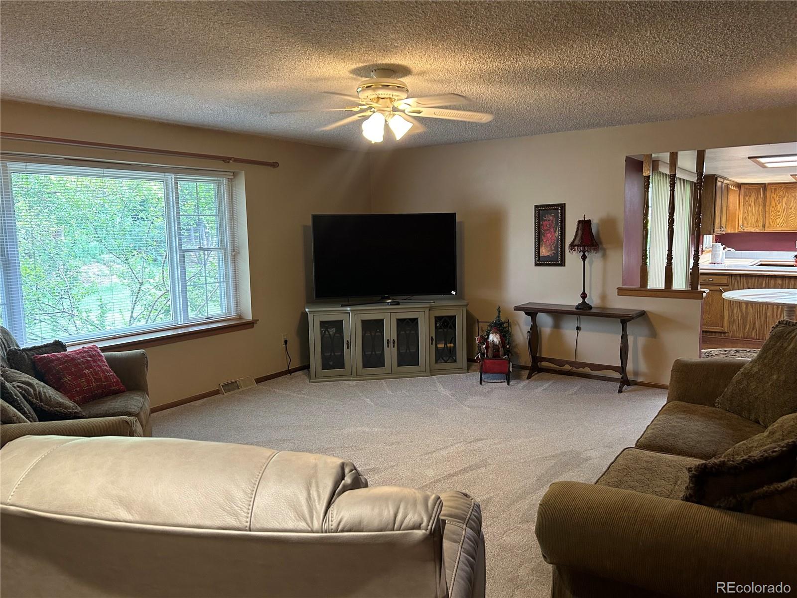 MLS Image #23 for 12924  st paul court,thornton, Colorado