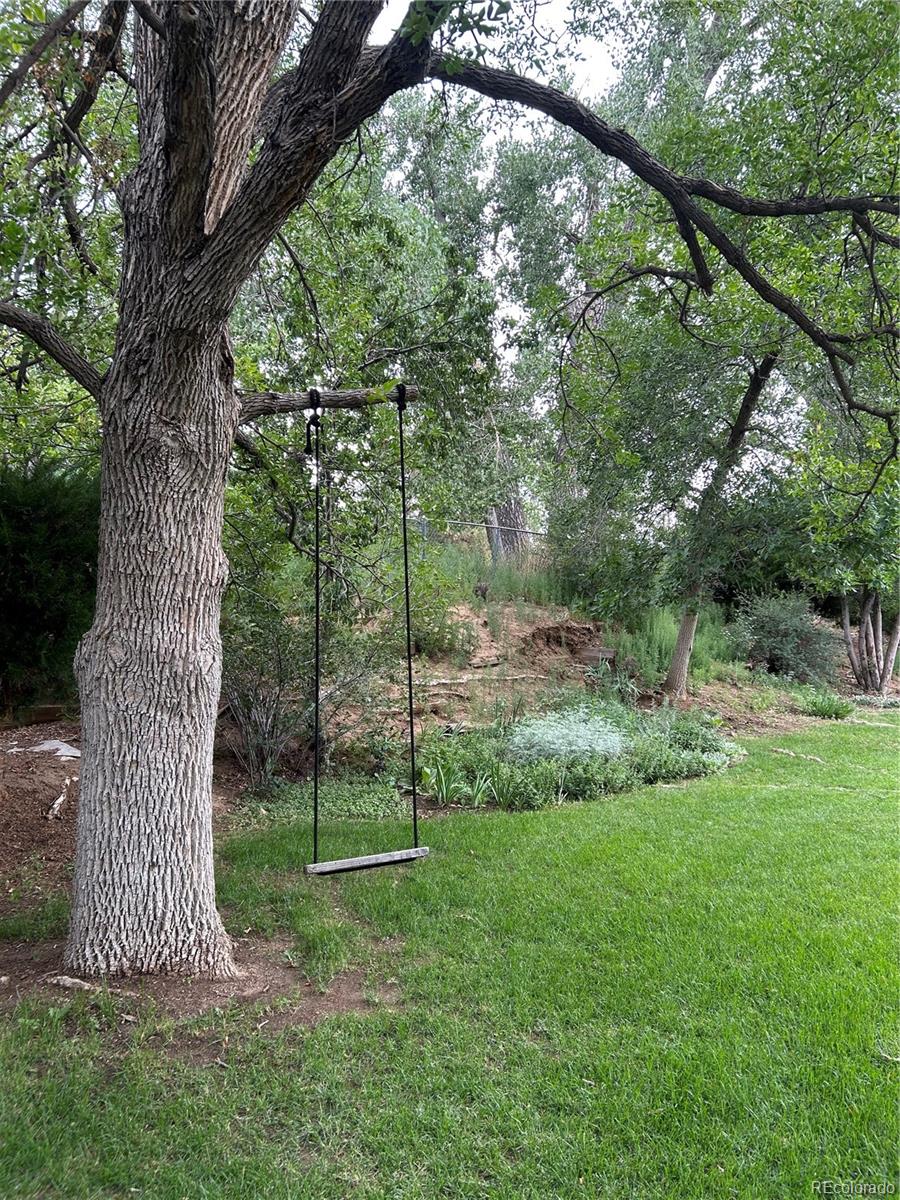 MLS Image #32 for 12924  st paul court,thornton, Colorado