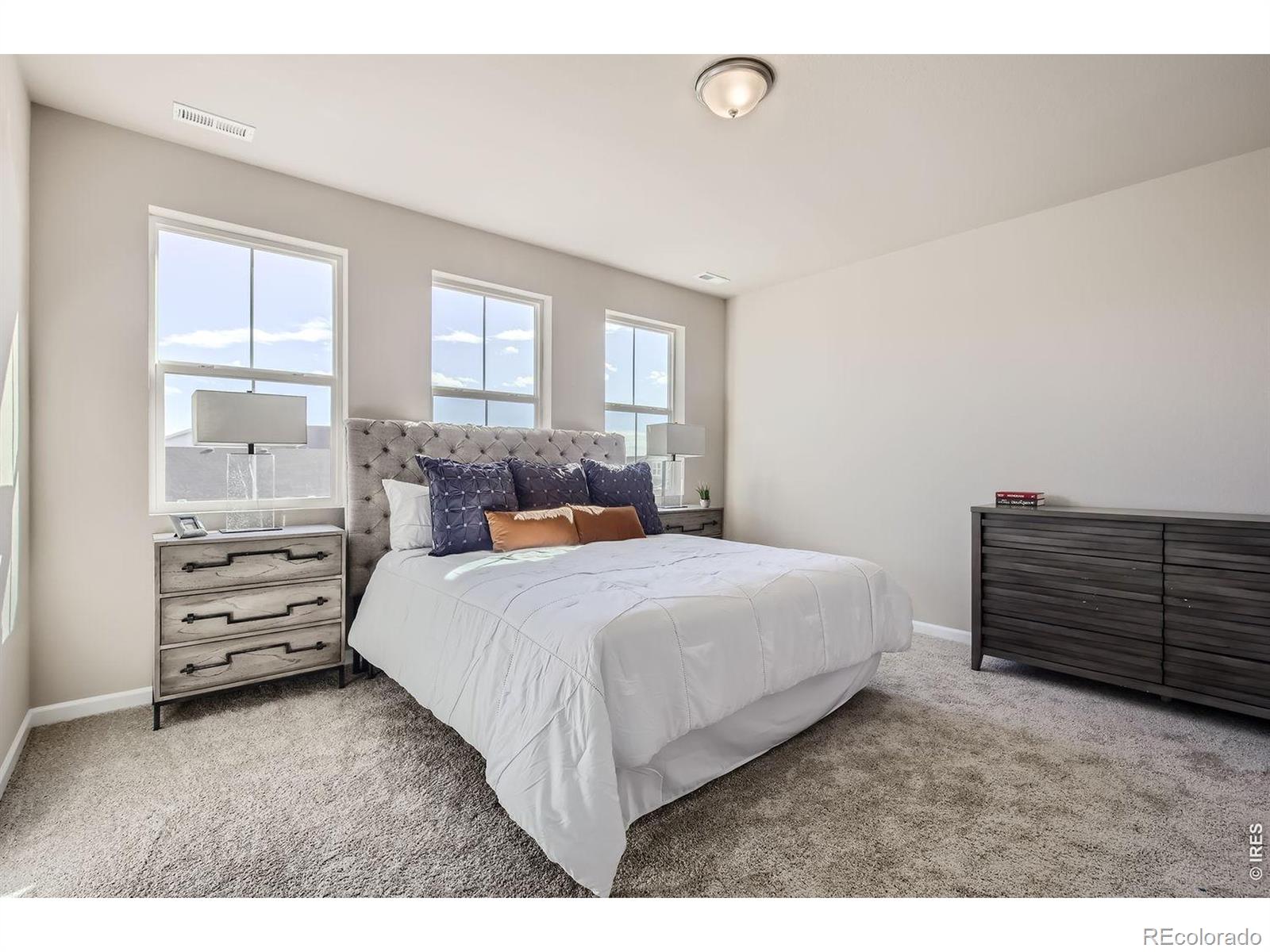 MLS Image #14 for 678  noola street,windsor, Colorado