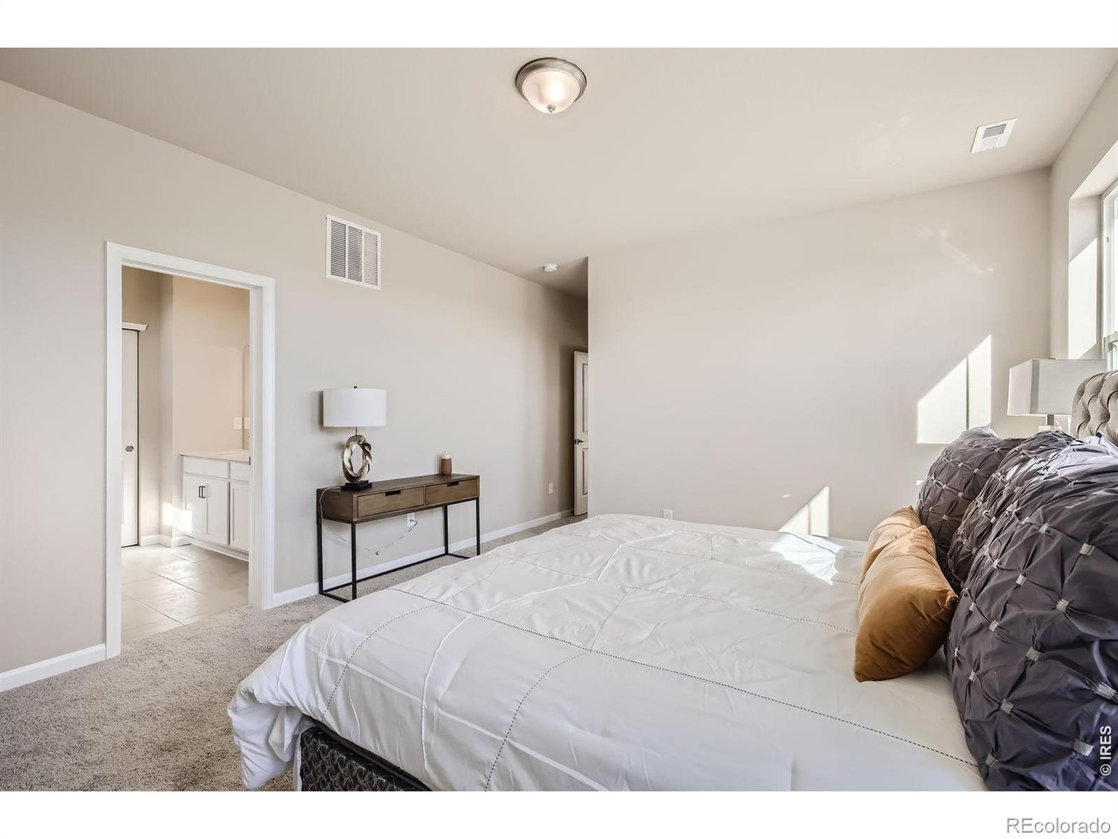 MLS Image #15 for 678  noola street,windsor, Colorado