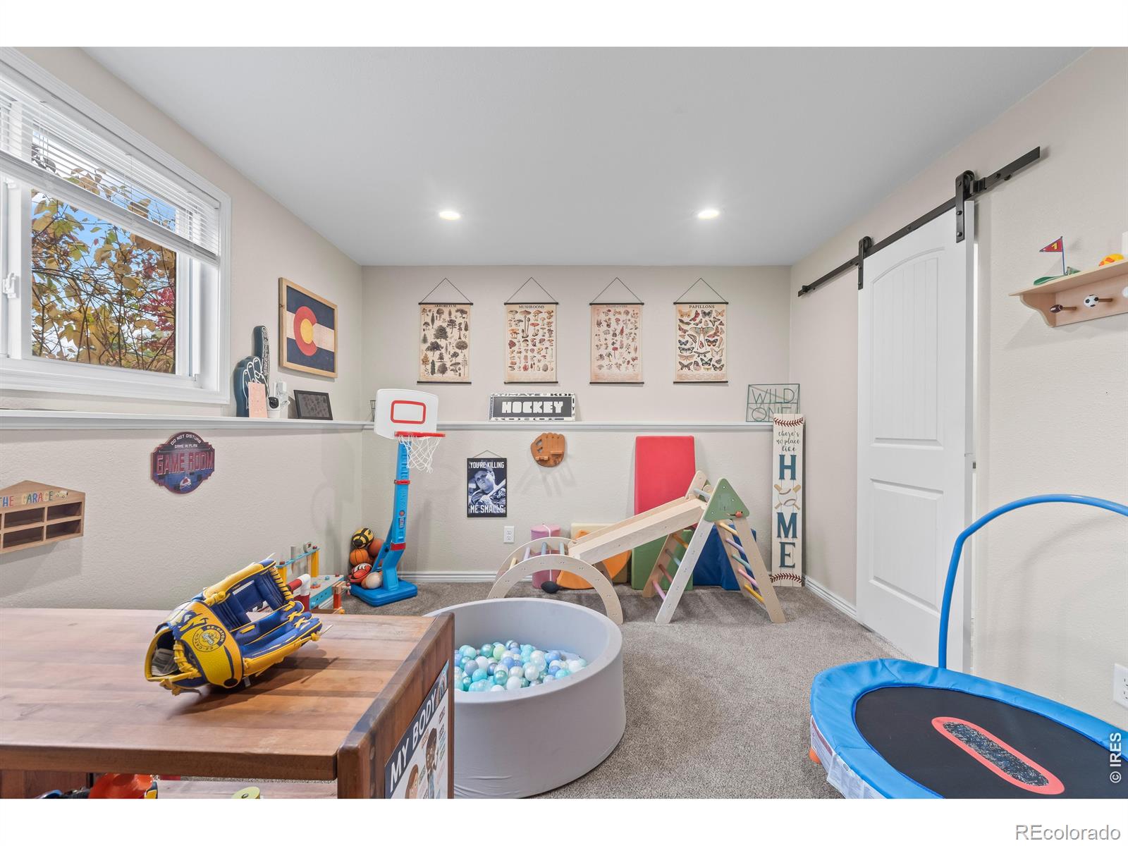 MLS Image #19 for 1739 s california avenue,loveland, Colorado