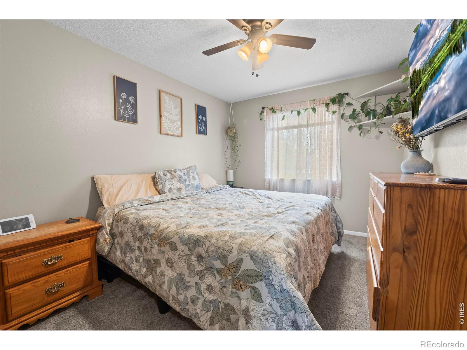 MLS Image #32 for 1739 s california avenue,loveland, Colorado