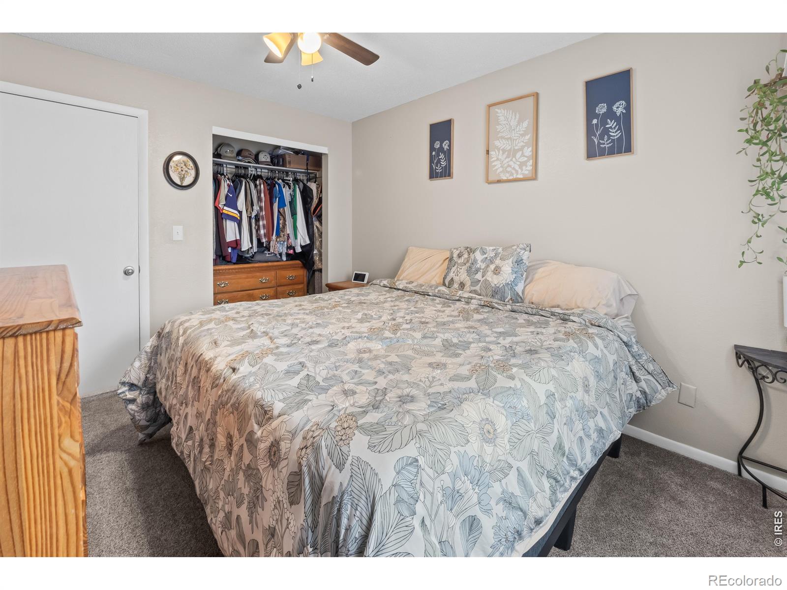 MLS Image #33 for 1739 s california avenue,loveland, Colorado