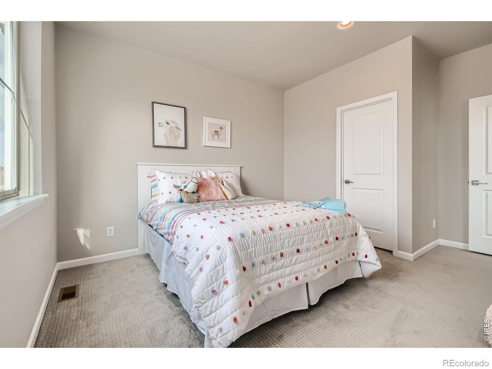 MLS Image #19 for 617  noola street,windsor, Colorado