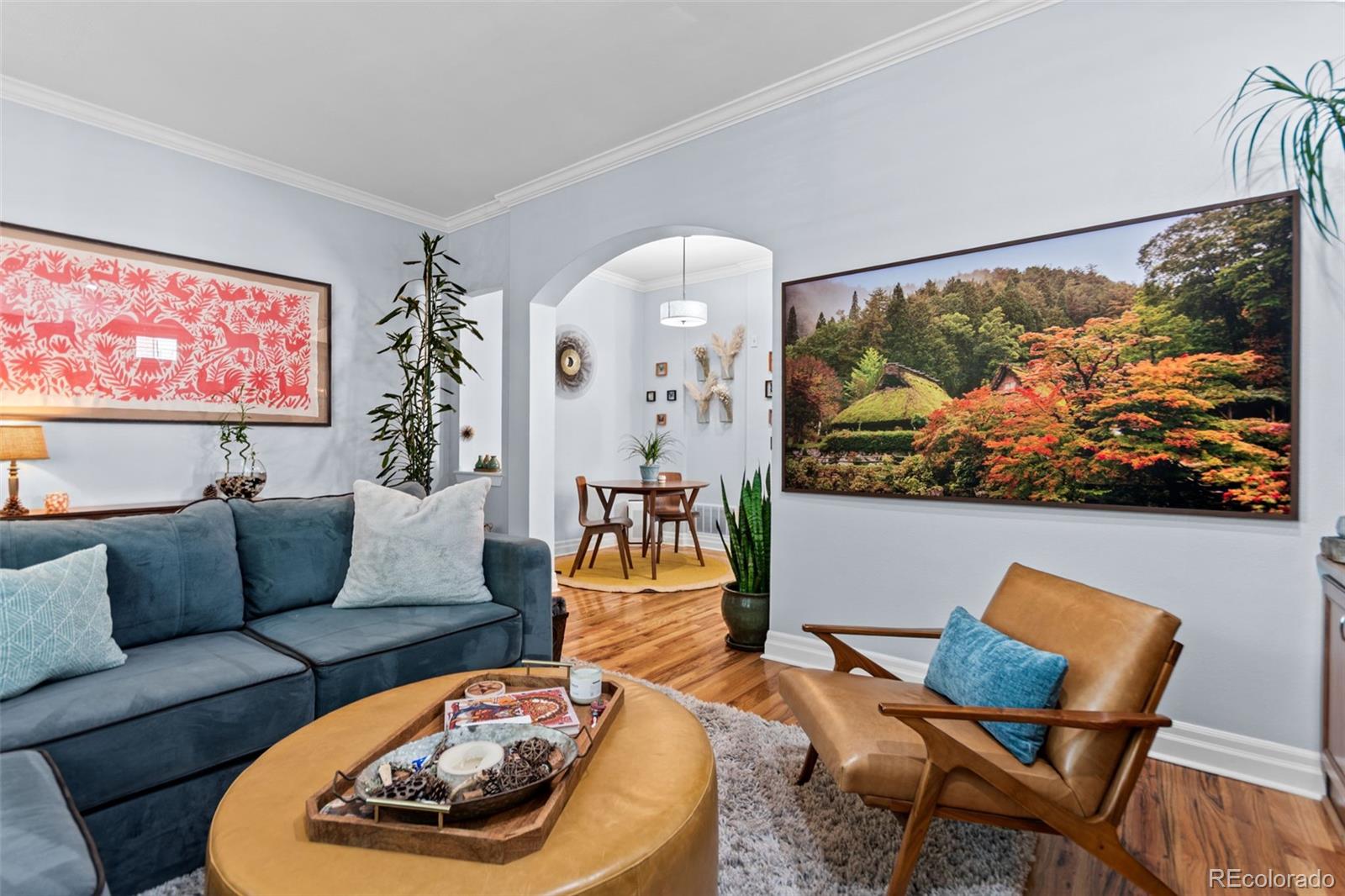 MLS Image #6 for 1489  steele street,denver, Colorado