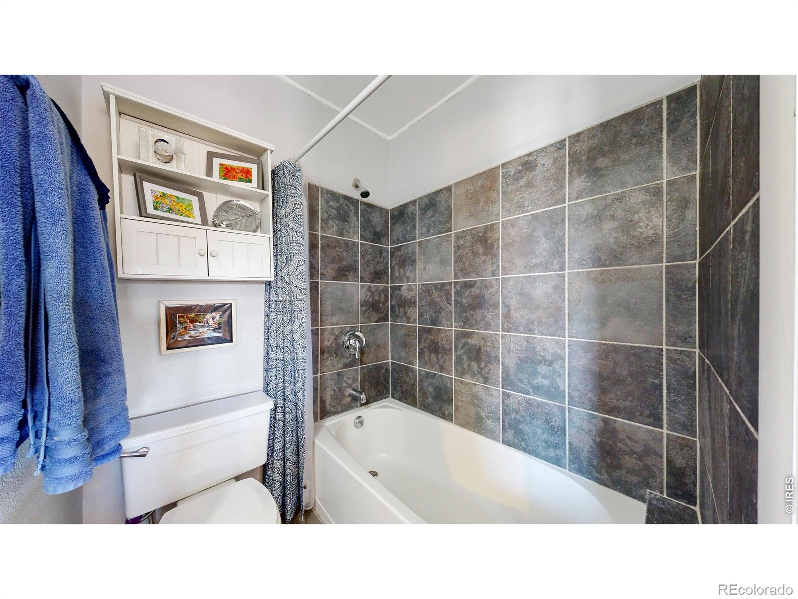 MLS Image #14 for 506  grand estates drive,estes park, Colorado