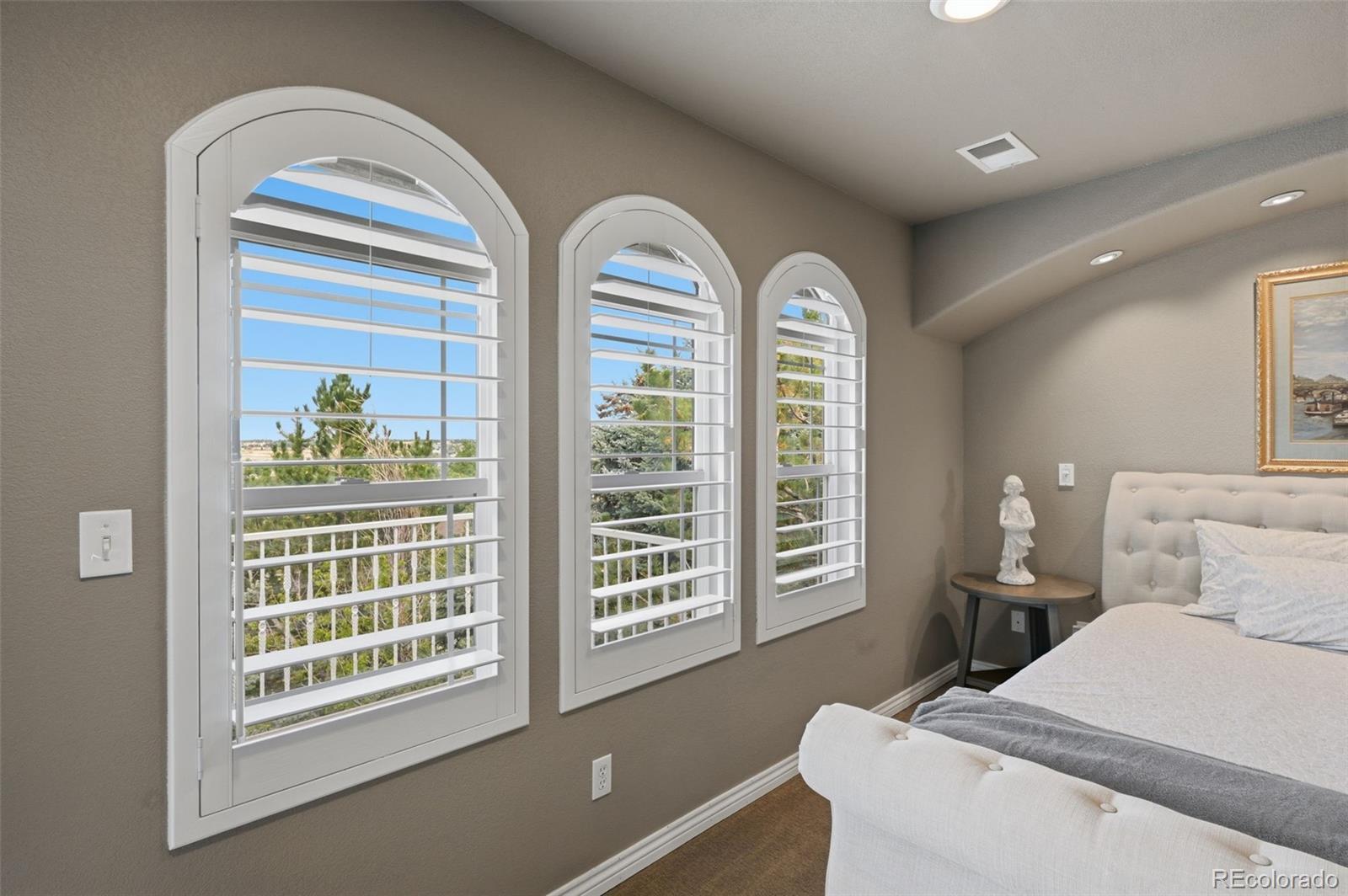 MLS Image #21 for 11608  sagewood lane,parker, Colorado