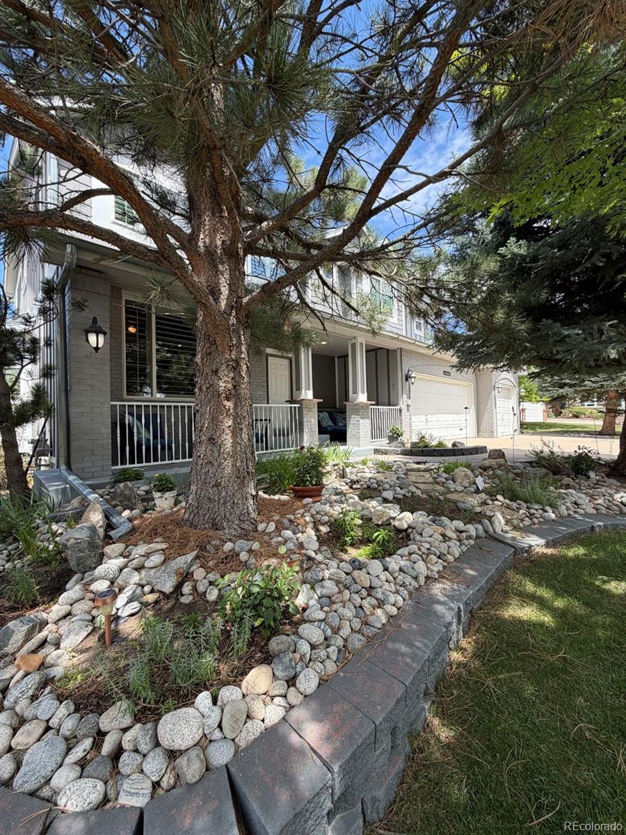 MLS Image #3 for 11608  sagewood lane,parker, Colorado
