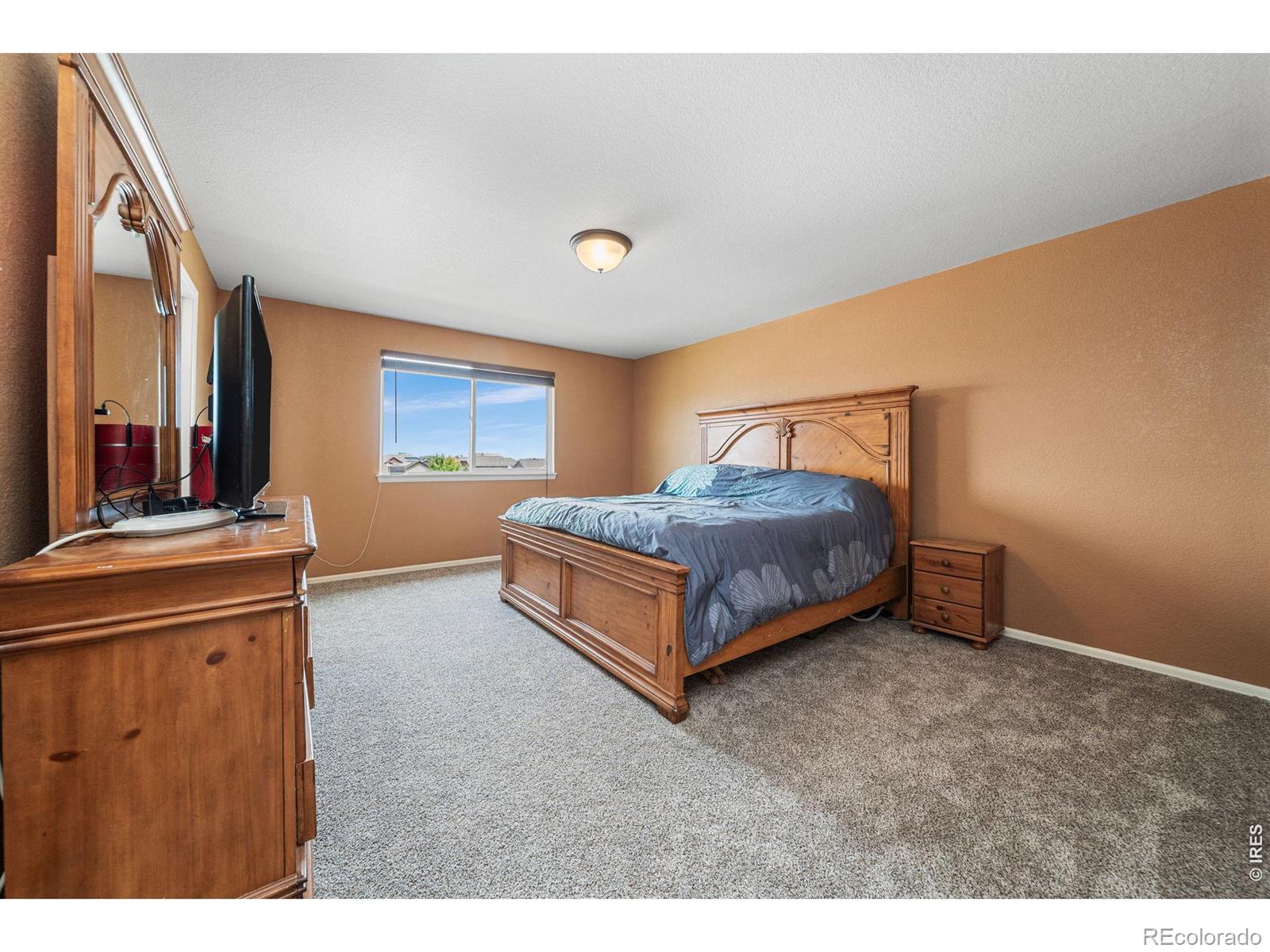 MLS Image #17 for 1520  murrlet street,berthoud, Colorado