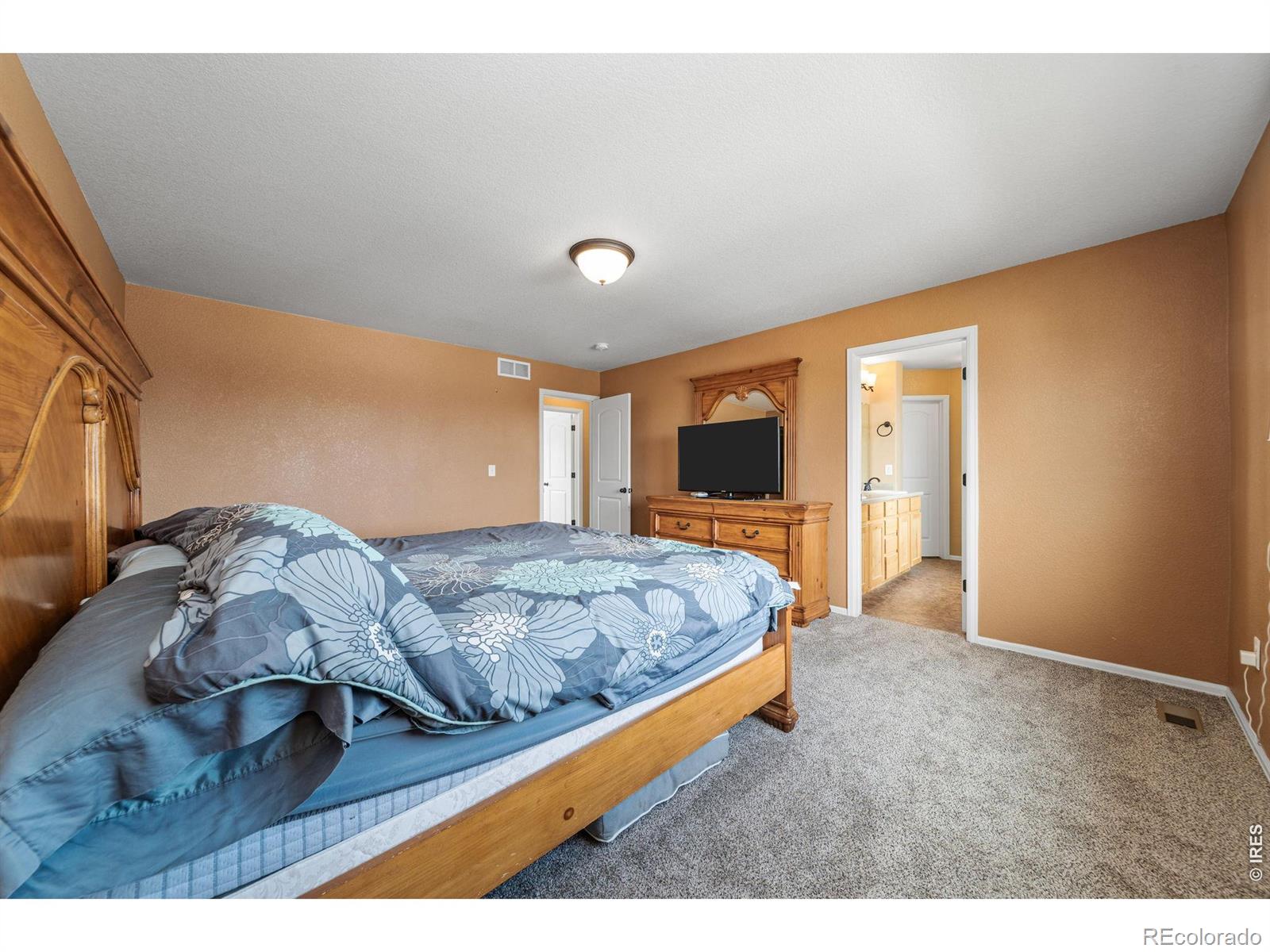 MLS Image #19 for 1520  murrlet street,berthoud, Colorado