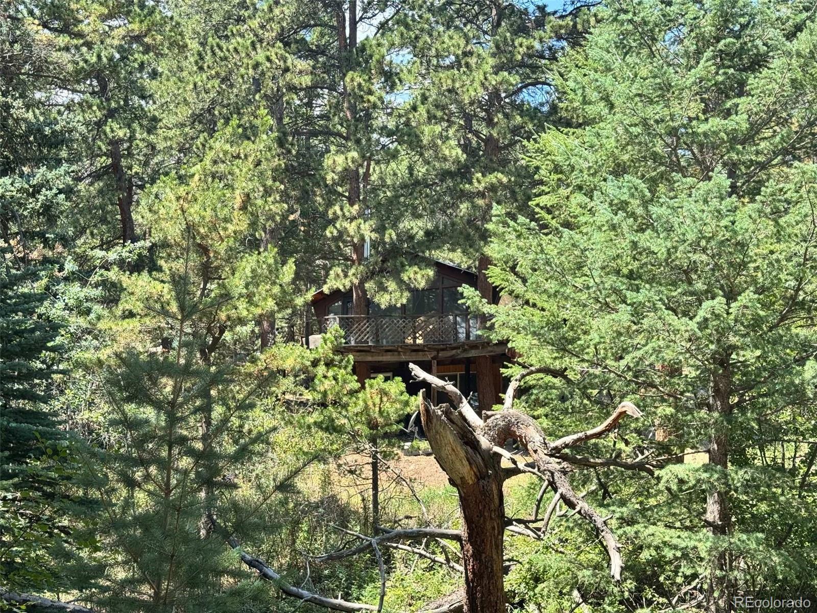 MLS Image #15 for 1324  pine glade road,nederland, Colorado