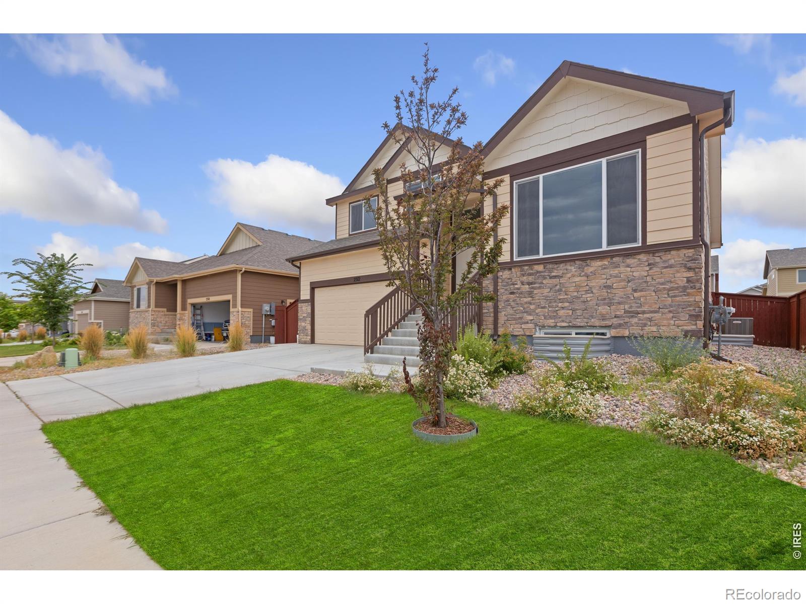 MLS Image #1 for 2312  golden way,windsor, Colorado