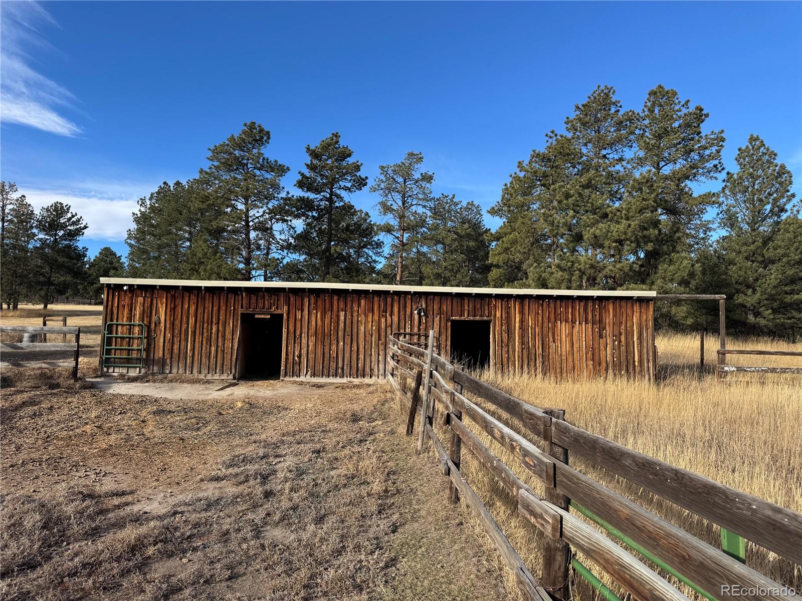 MLS Image #4 for 1125  paddock street,elizabeth, Colorado