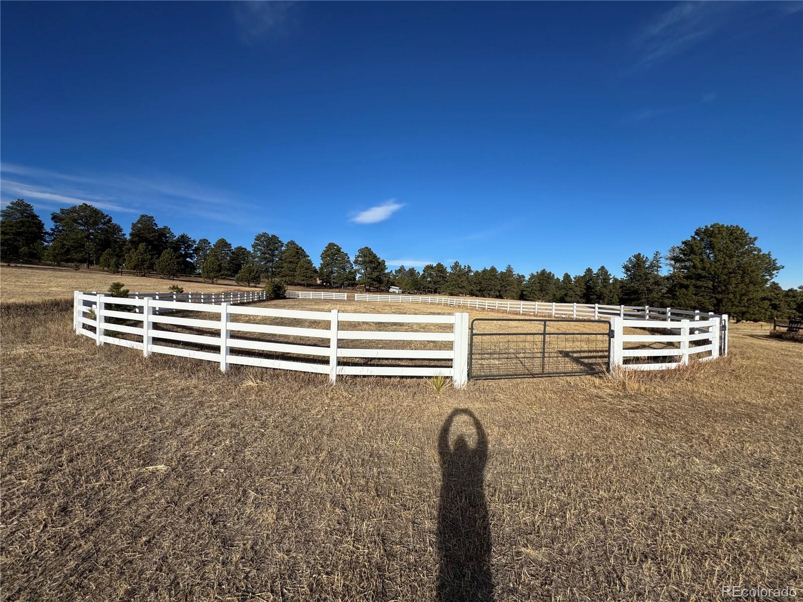 MLS Image #8 for 1125  paddock street,elizabeth, Colorado
