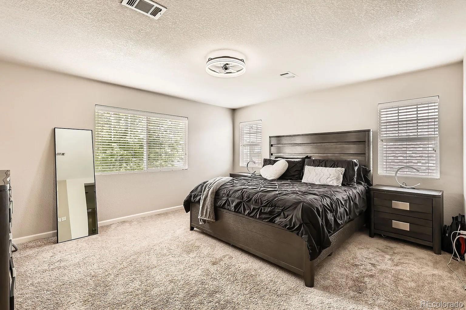 MLS Image #19 for 12125  helena street,brighton, Colorado