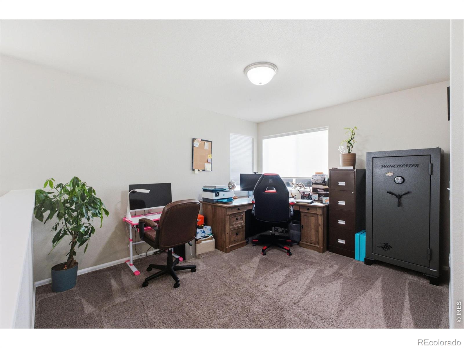 MLS Image #20 for 385  littlebrook court,windsor, Colorado