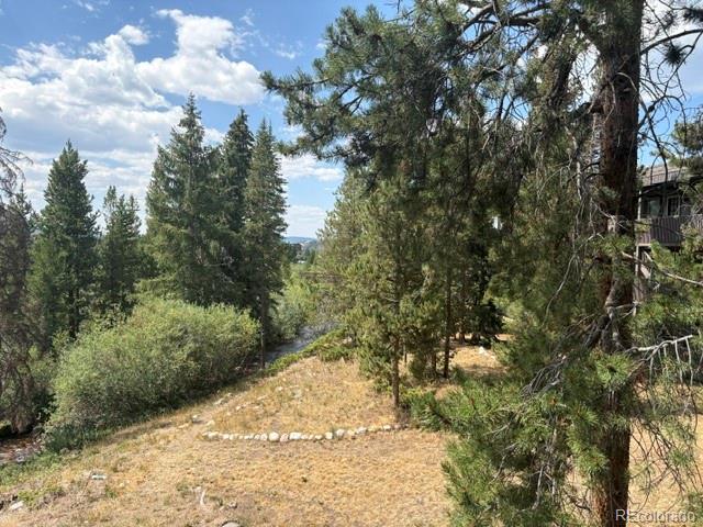 MLS Image #18 for 471  hi country drive,winter park, Colorado