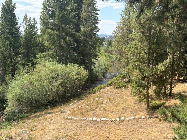 MLS Image #19 for 471  hi country drive,winter park, Colorado
