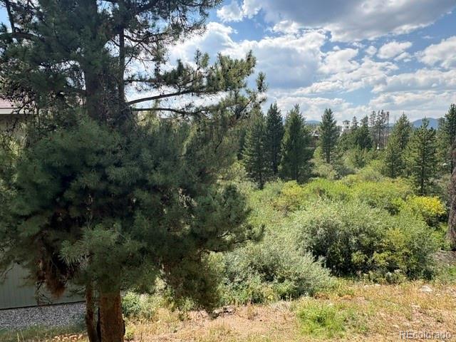 MLS Image #20 for 471  hi country drive,winter park, Colorado