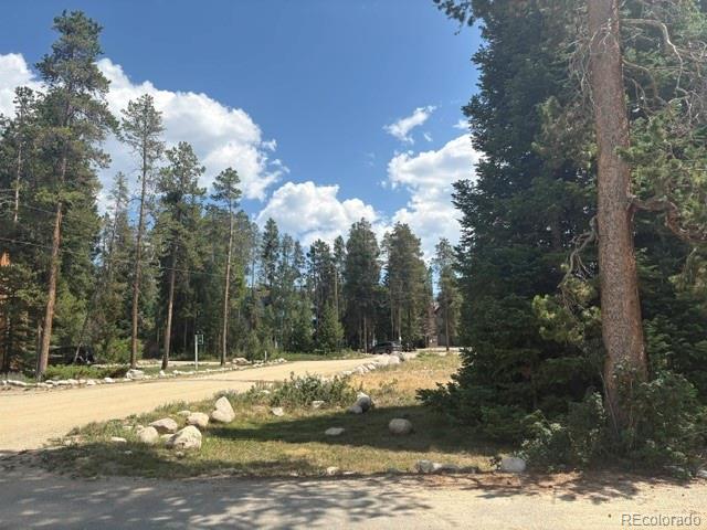 MLS Image #3 for 471  hi country drive,winter park, Colorado