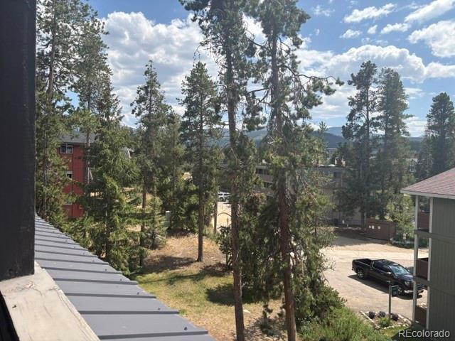 MLS Image #7 for 471  hi country drive,winter park, Colorado