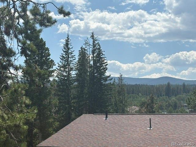 MLS Image #9 for 471  hi country drive,winter park, Colorado