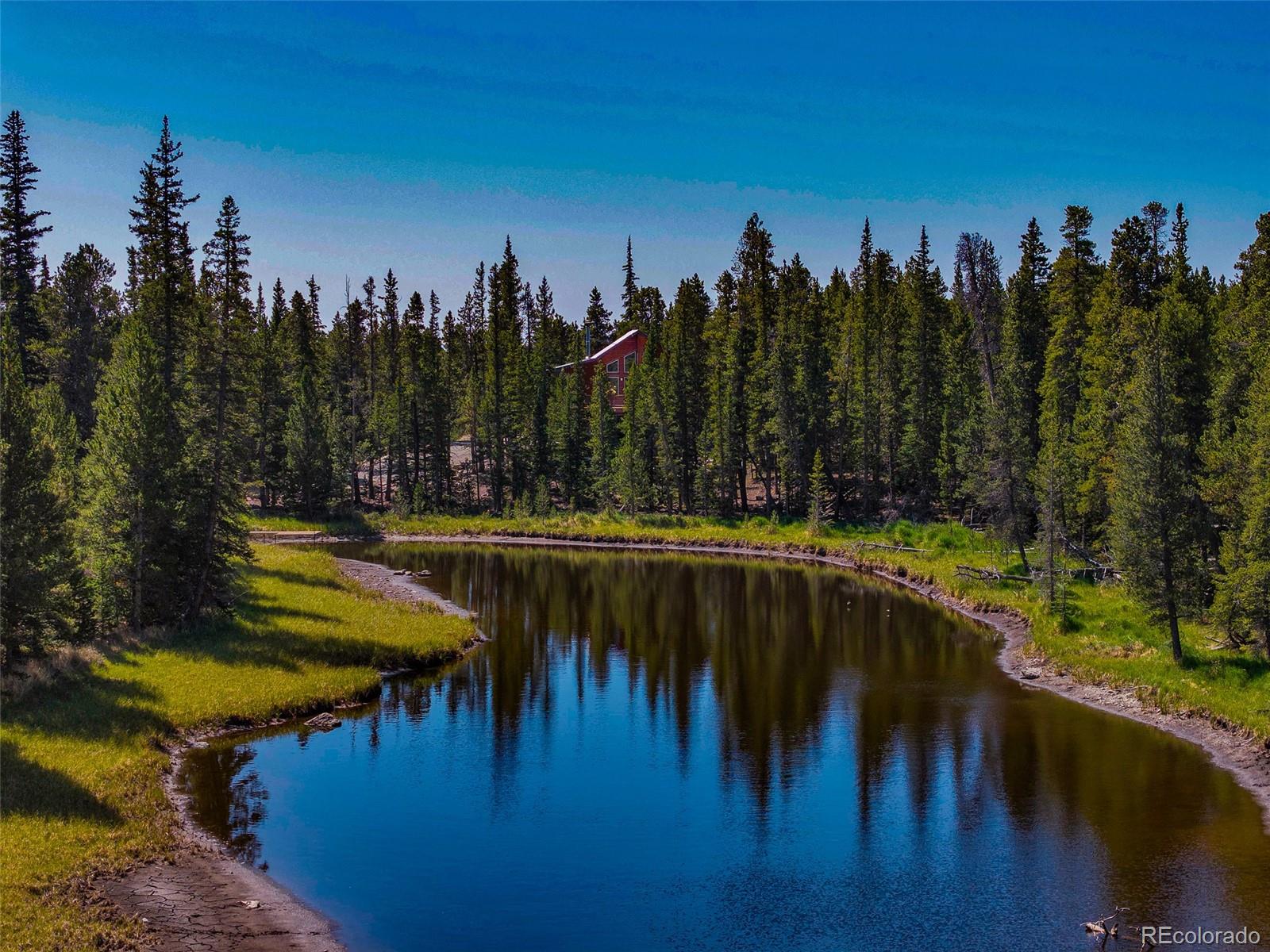 MLS Image #1 for 3385  cr 1 ,fairplay, Colorado