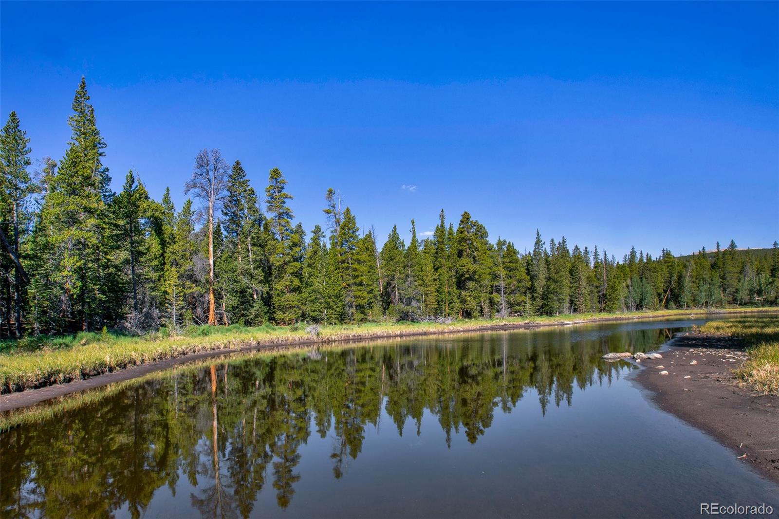 MLS Image #18 for 3385  cr 1 ,fairplay, Colorado
