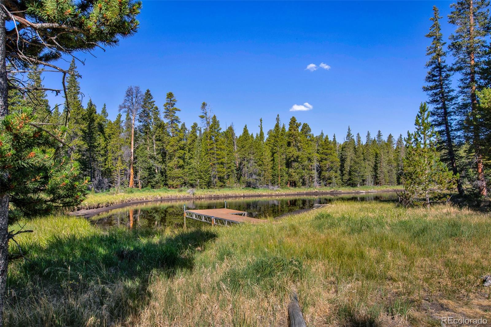 MLS Image #2 for 3385  cr 1 ,fairplay, Colorado