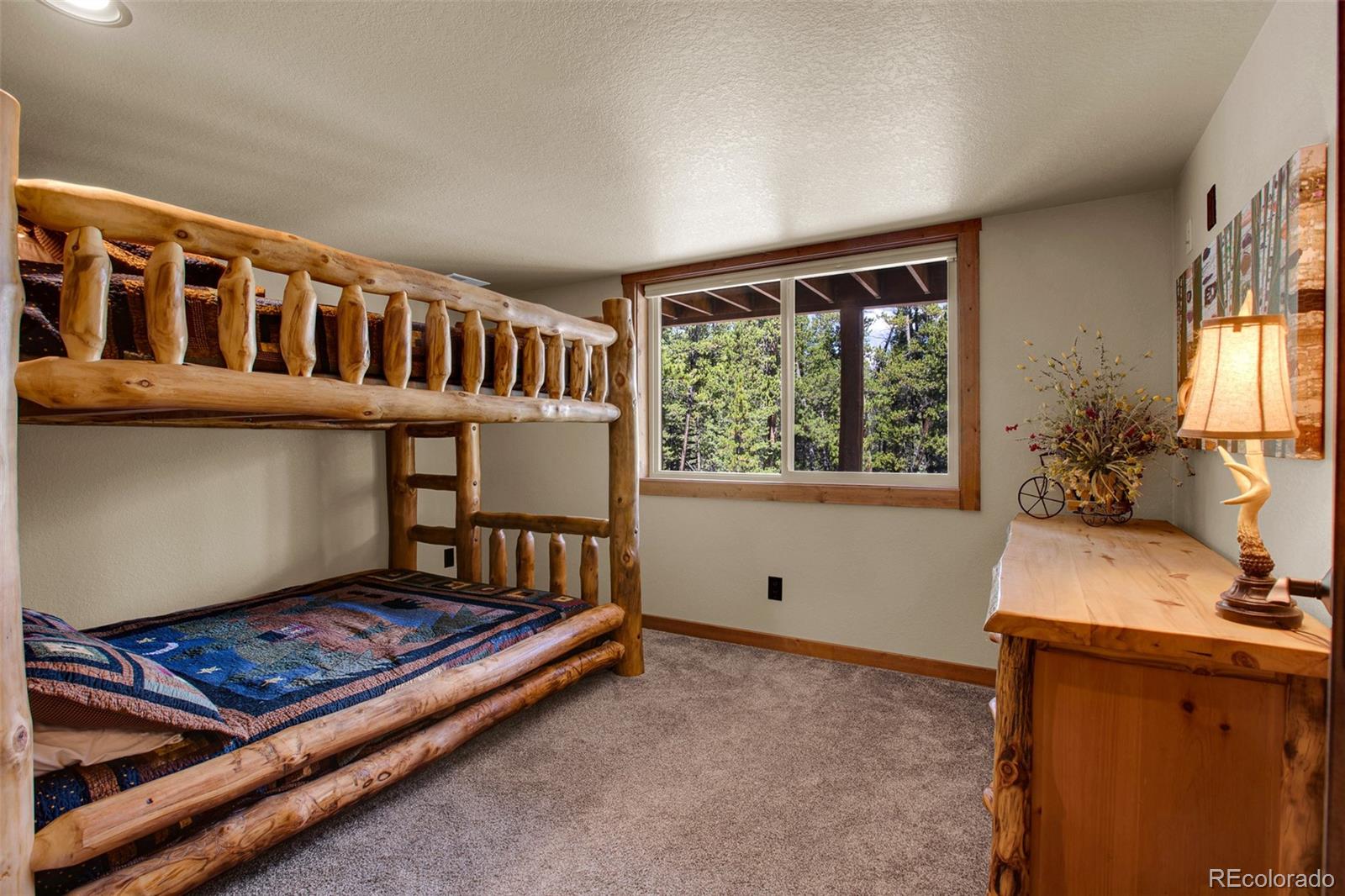 MLS Image #21 for 3385  cr 1 ,fairplay, Colorado