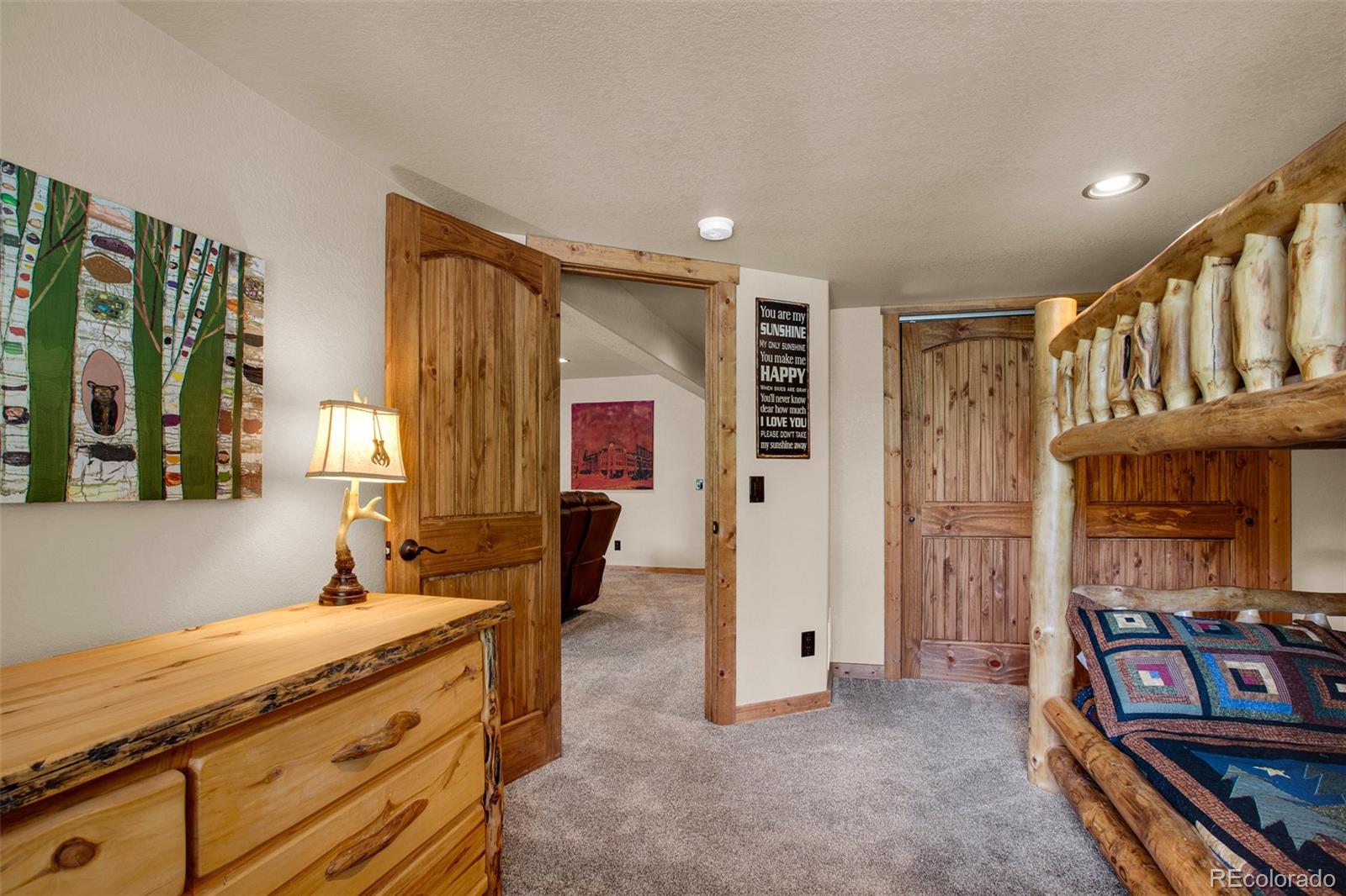 MLS Image #22 for 3385  cr 1 ,fairplay, Colorado