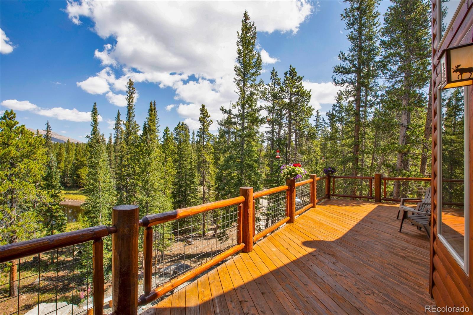 MLS Image #23 for 3385  cr 1 ,fairplay, Colorado