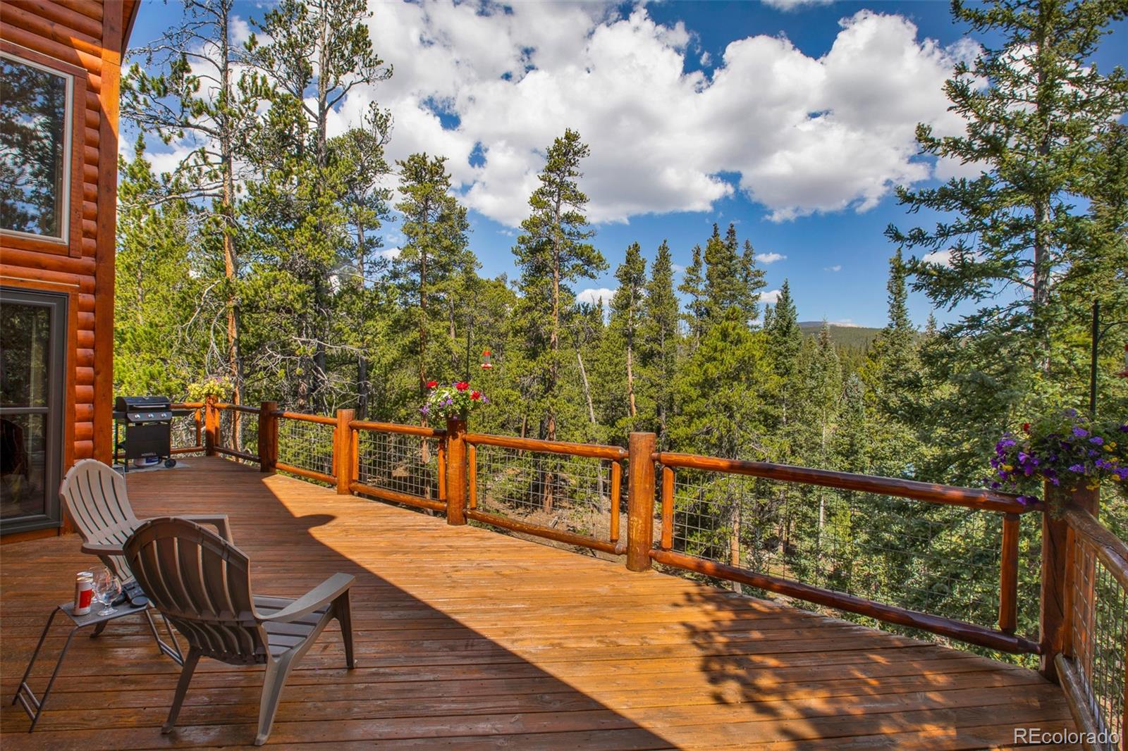 MLS Image #24 for 3385  cr 1 ,fairplay, Colorado