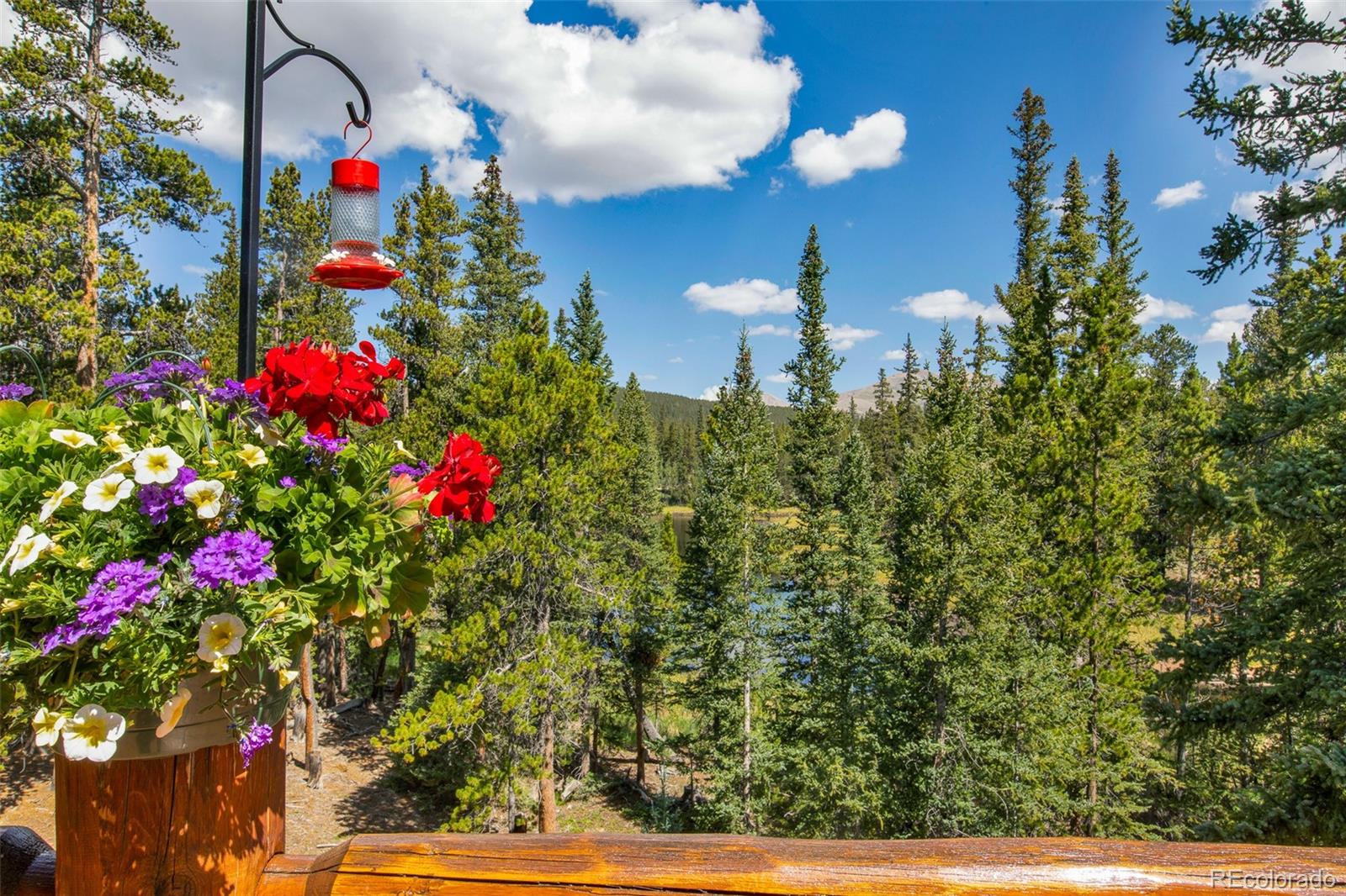 MLS Image #26 for 3385  cr 1 ,fairplay, Colorado