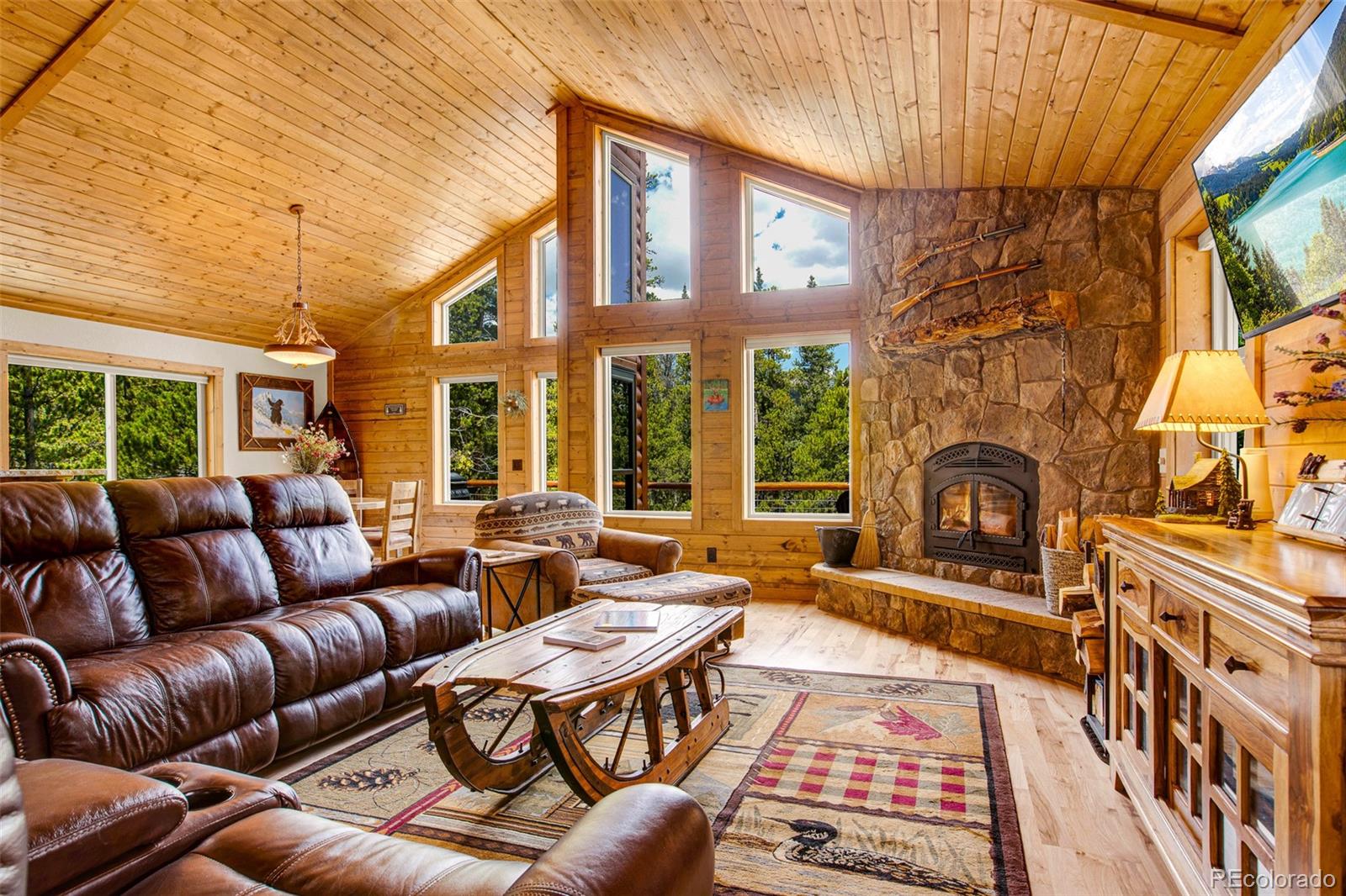 MLS Image #3 for 3385  cr 1 ,fairplay, Colorado