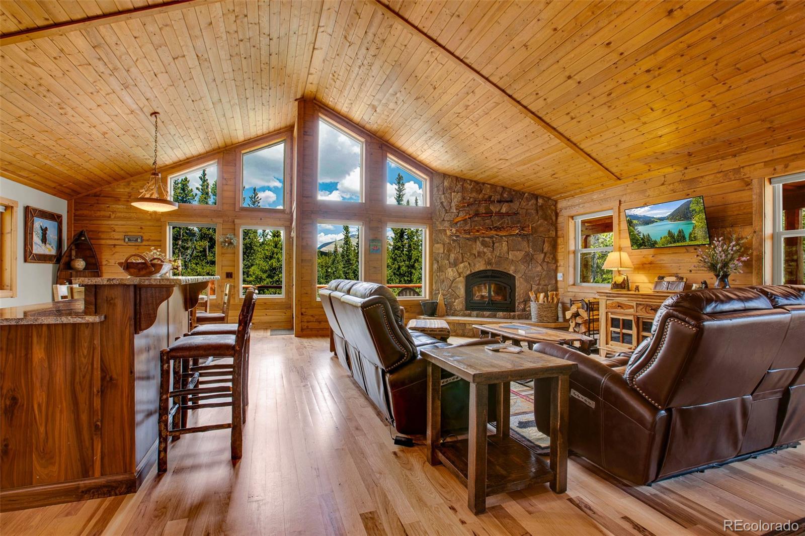 MLS Image #33 for 3385  cr 1 ,fairplay, Colorado