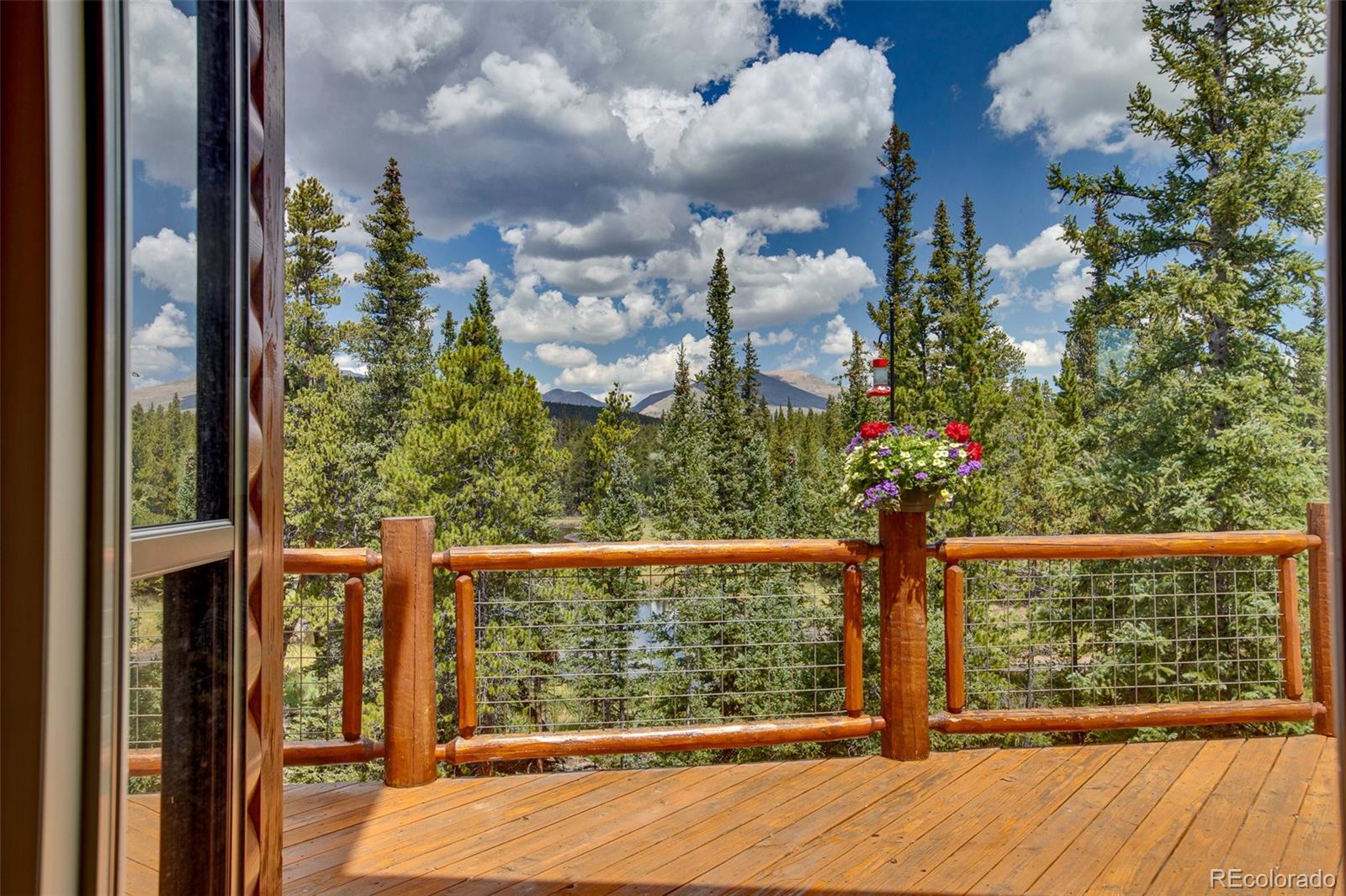 MLS Image #4 for 3385  cr 1 ,fairplay, Colorado