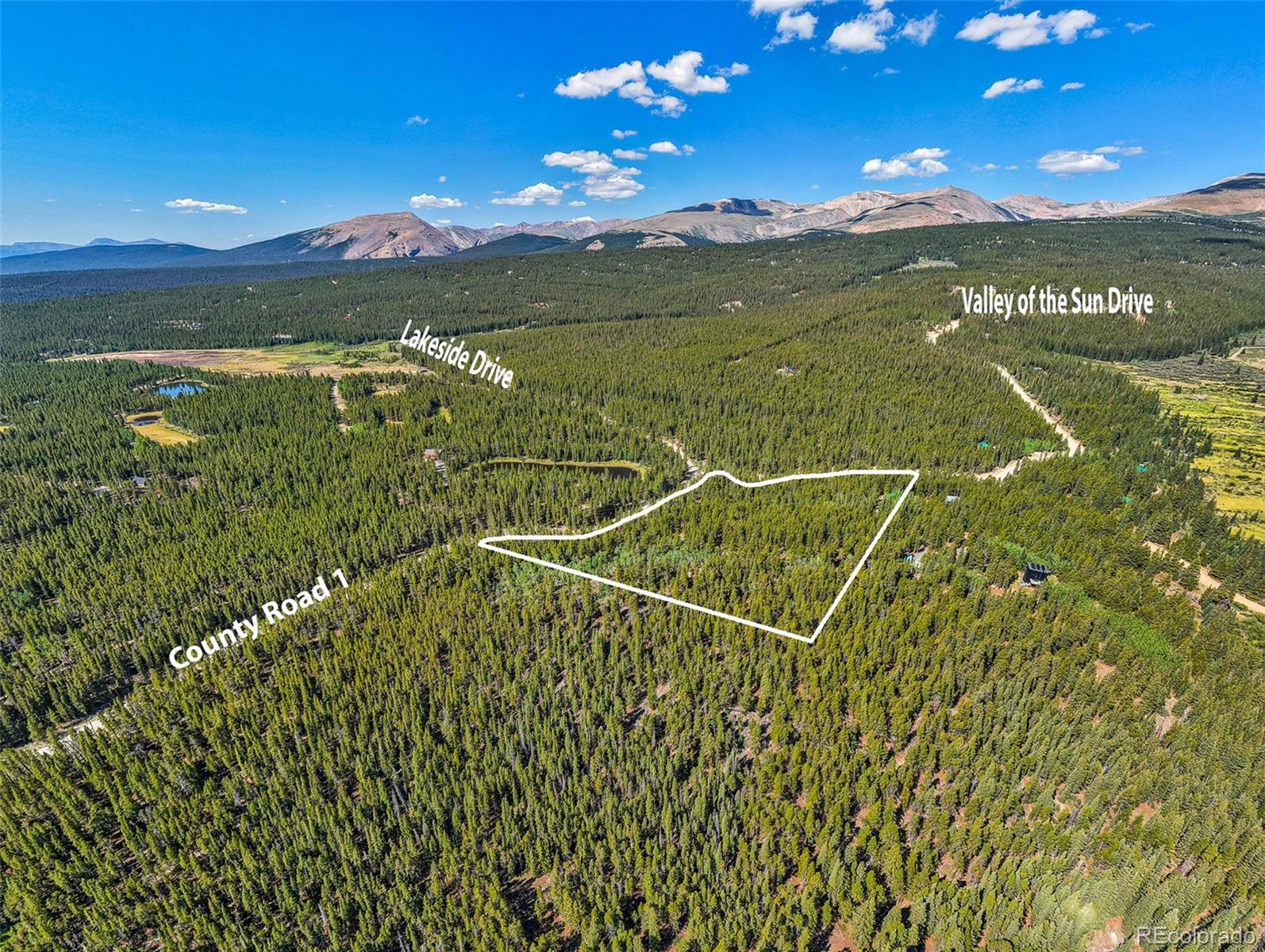 MLS Image #42 for 3385  cr 1 ,fairplay, Colorado