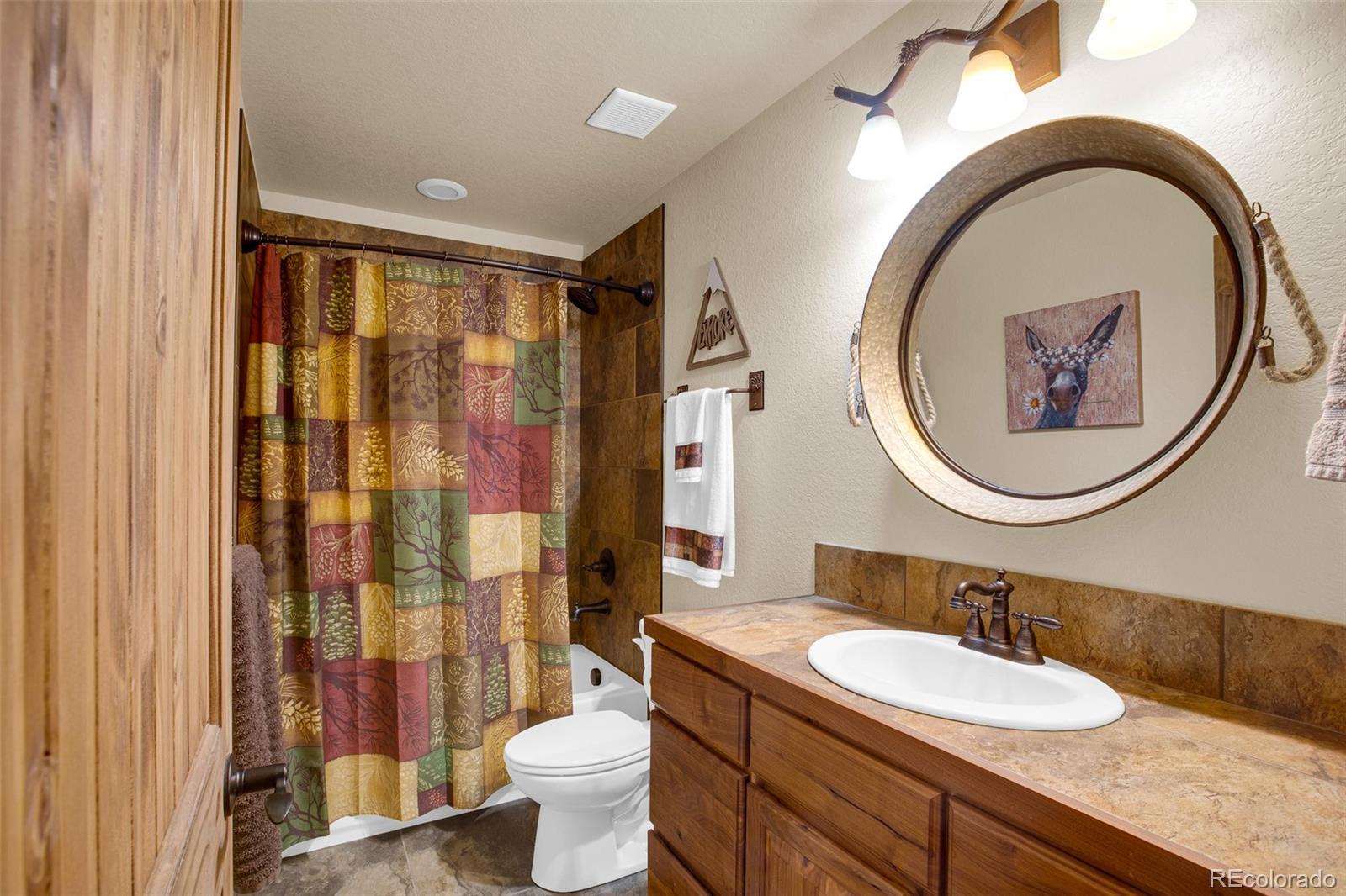 MLS Image #47 for 3385  cr 1 ,fairplay, Colorado