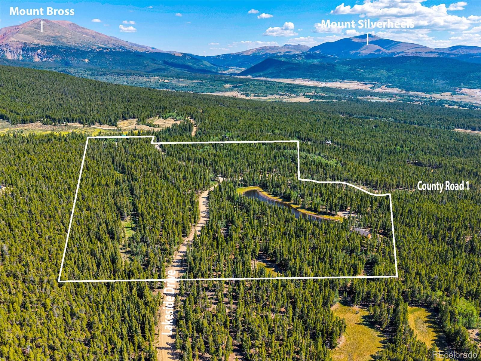 MLS Image #6 for 3385  cr 1 ,fairplay, Colorado